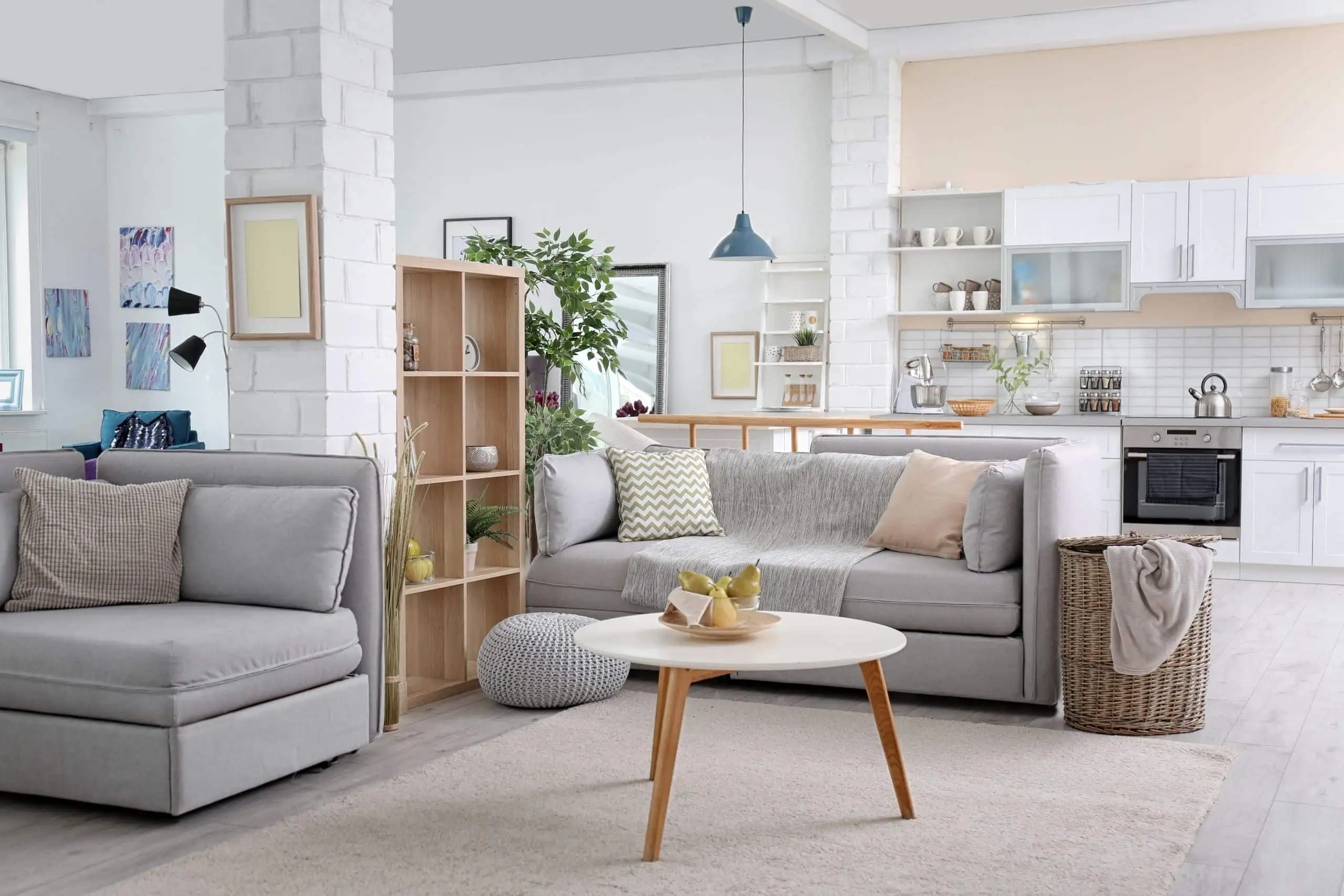 Residential Cleaning Service Living Room 1